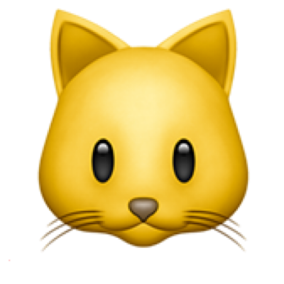 고양이
